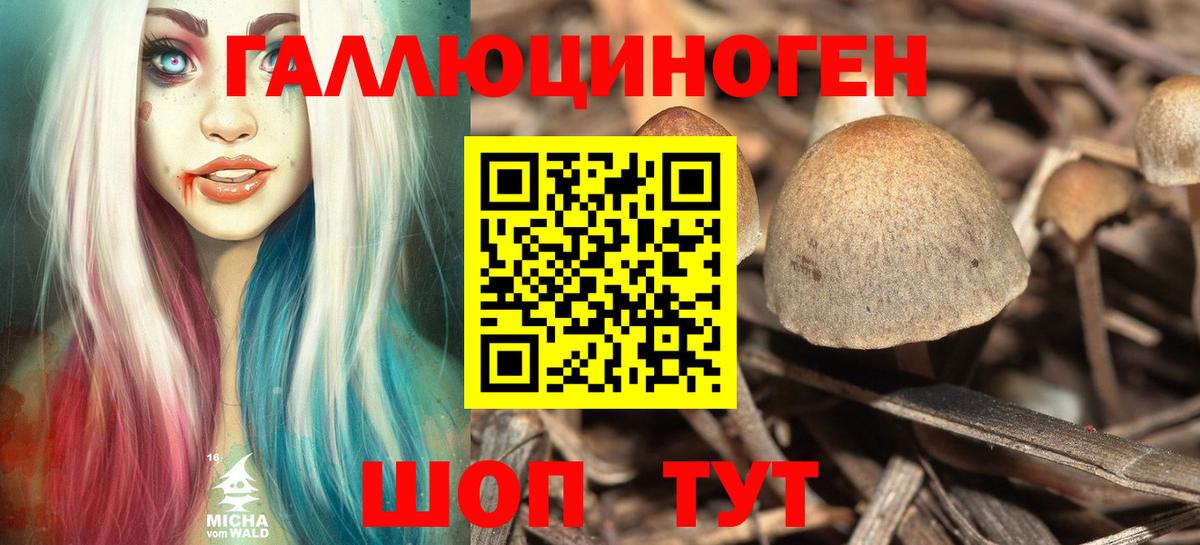 Галлюциногенные грибы Psilocybine cubensis Ярцево